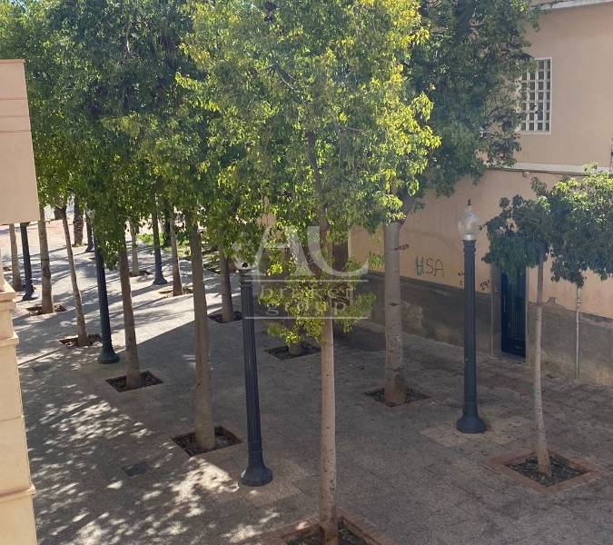 Alquiler - Piso - Elche - Centro