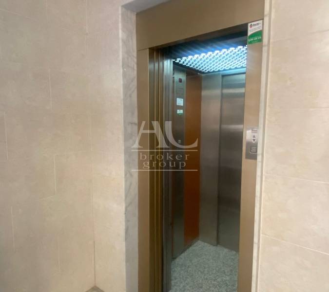 Alquiler - Piso - Elche - Centro