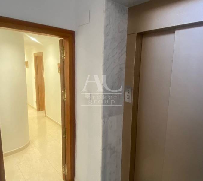 Alquiler - Piso - Elche - Centro