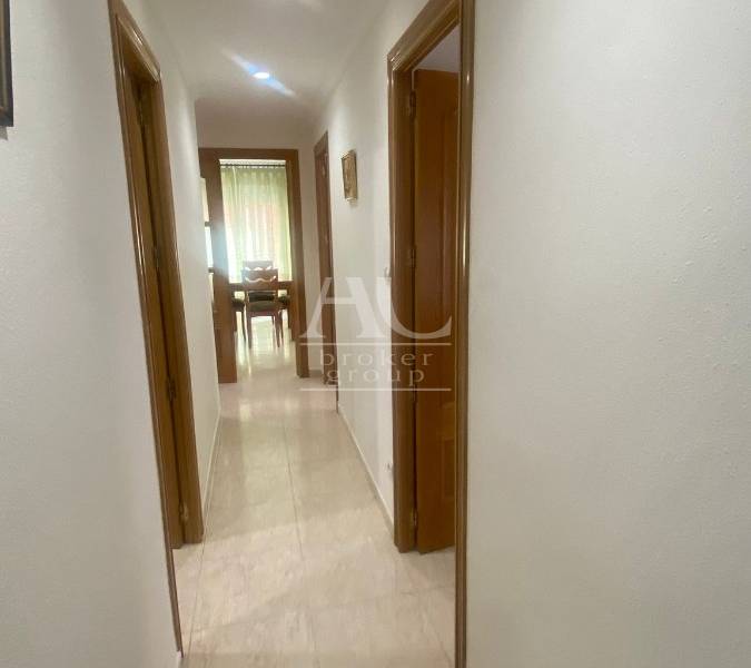 Alquiler - Piso - Elche - Centro