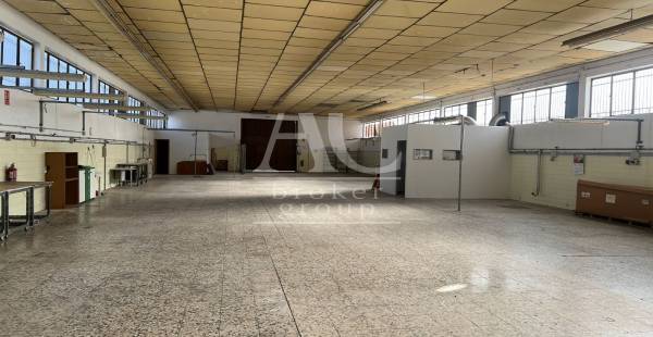 Nave  - Venta - Elche Pedanías - Carretera de Dolores