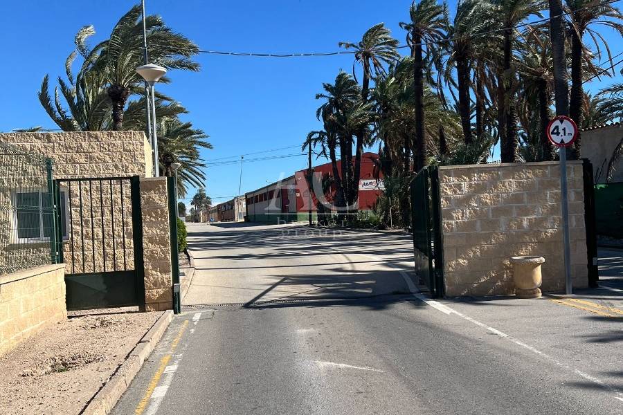 Venta - Nave  - Elche Pedanías - Carretera de Dolores