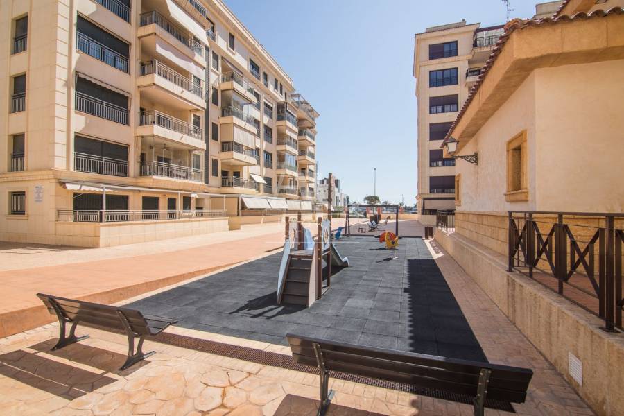 Alquiler - Ático - Elche - La Torreta 