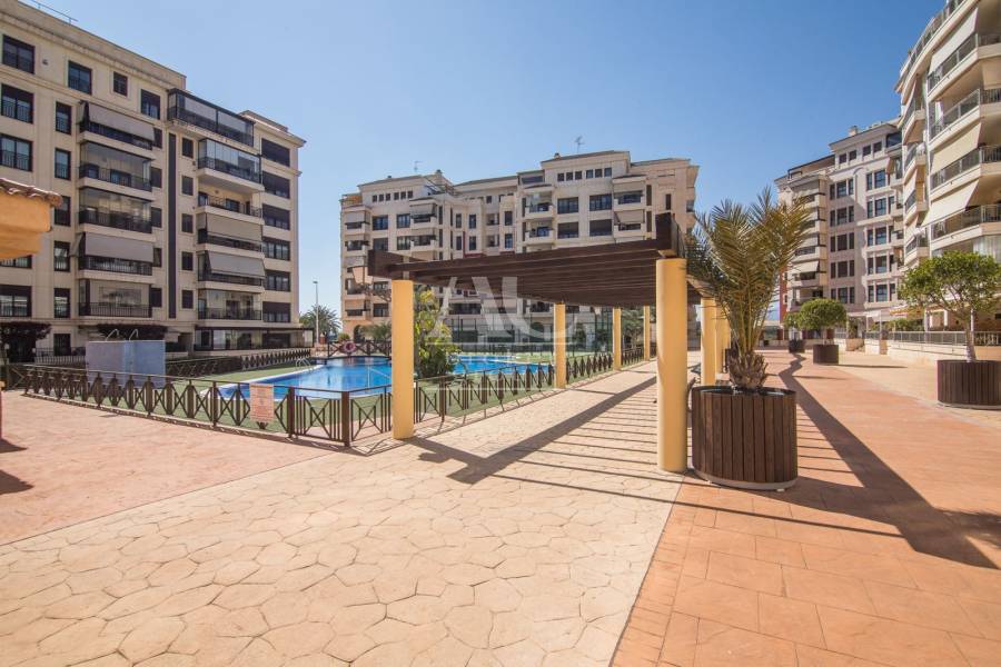 Alquiler - Ático - Elche - La Torreta 