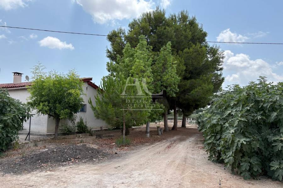 Venta - Chalet / Casa de campo - Elche Pedanías - Matola