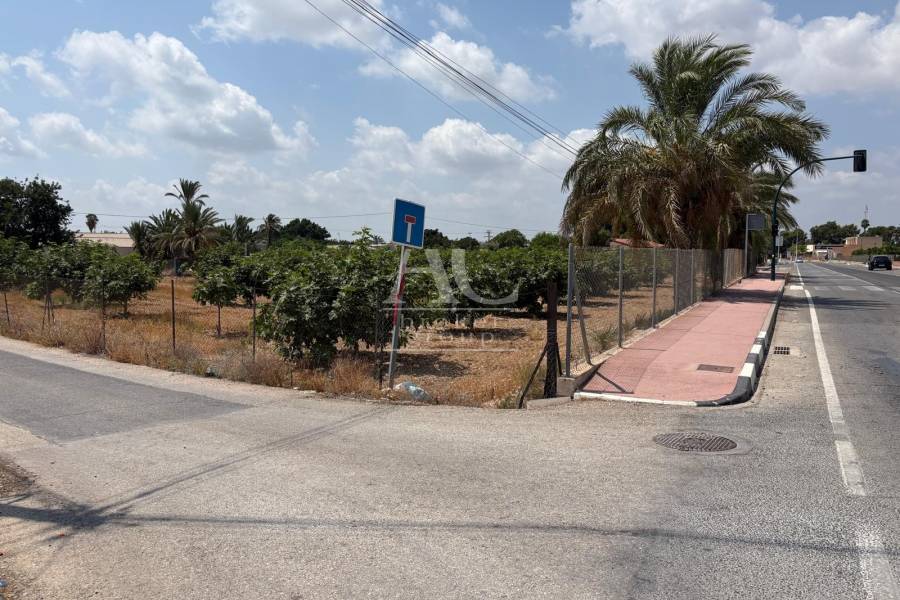 Venta - Chalet / Casa de campo - Elche Pedanías - Matola