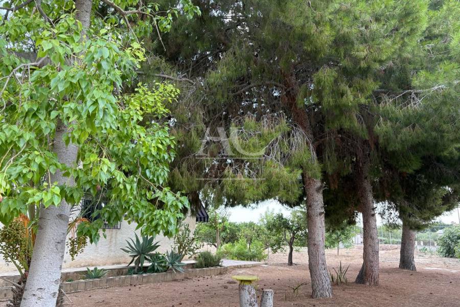Venta - Chalet / Casa de campo - Elche Pedanías - Matola