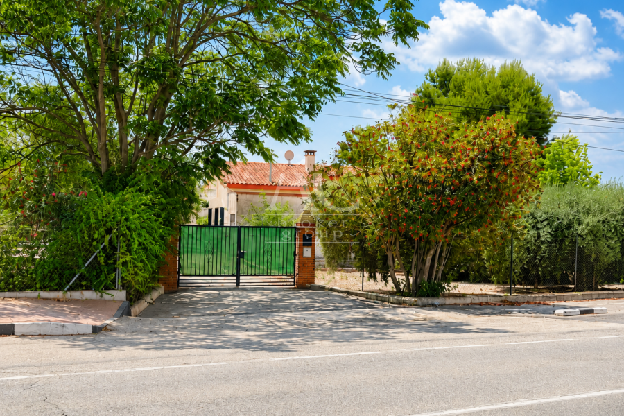 Venta - Chalet / Casa de campo - Elche Pedanías - Matola