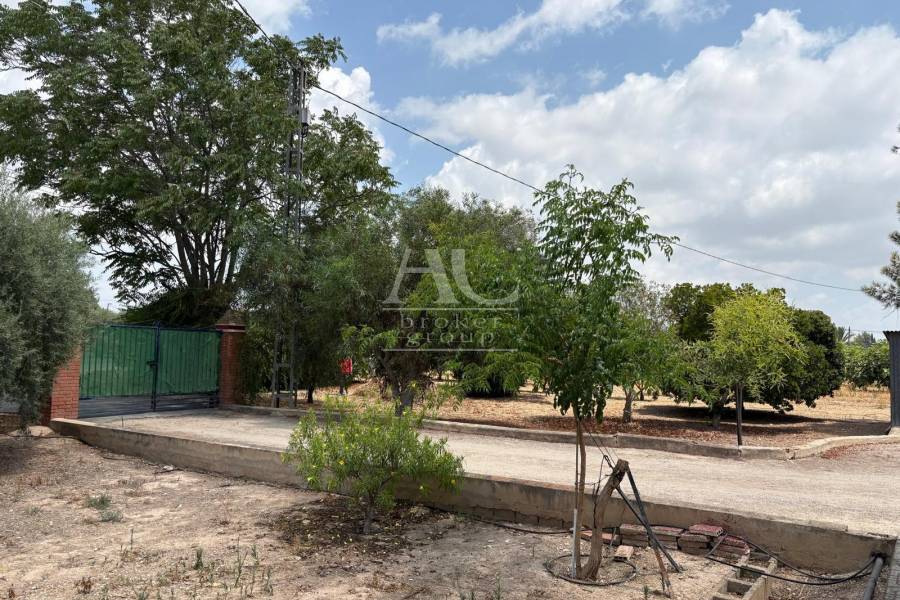 Venta - Chalet / Casa de campo - Elche Pedanías - Matola