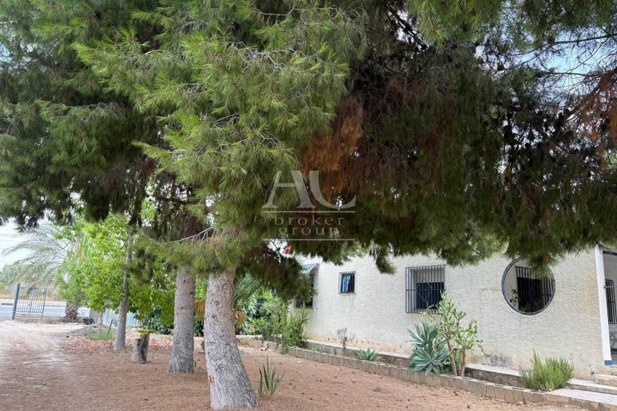 Venta - Chalet / Casa de campo - Elche Pedanías - Matola
