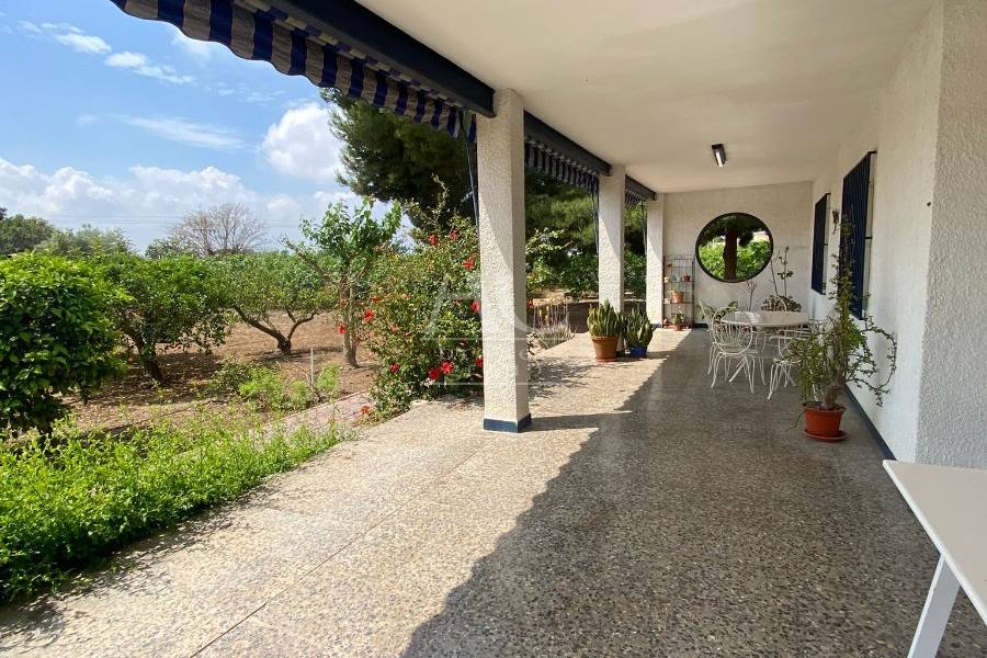 Venta - Chalet / Casa de campo - Elche Pedanías - Matola