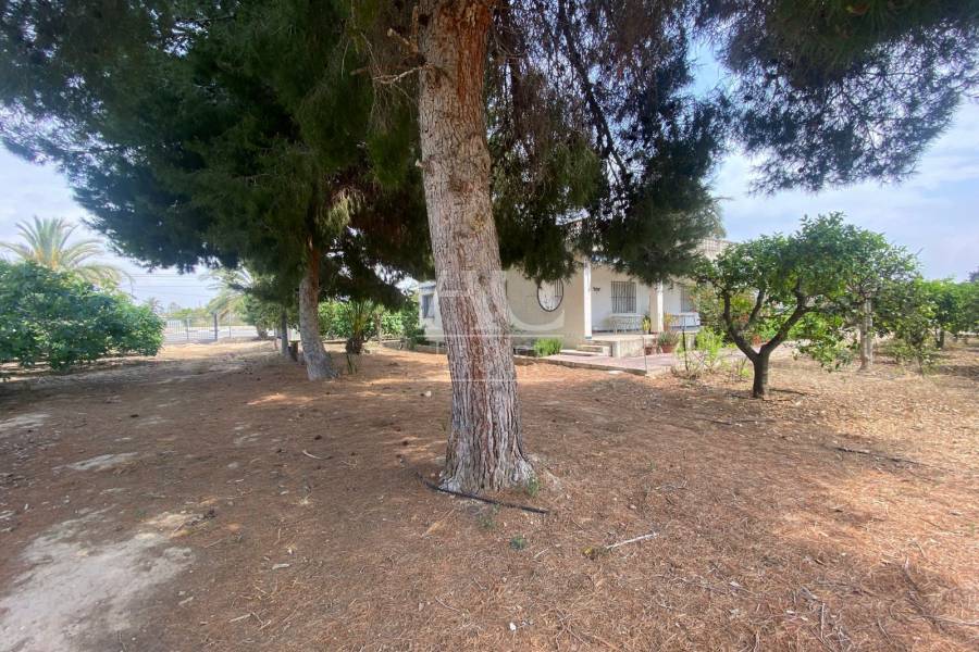 Venta - Chalet / Casa de campo - Elche Pedanías - Matola