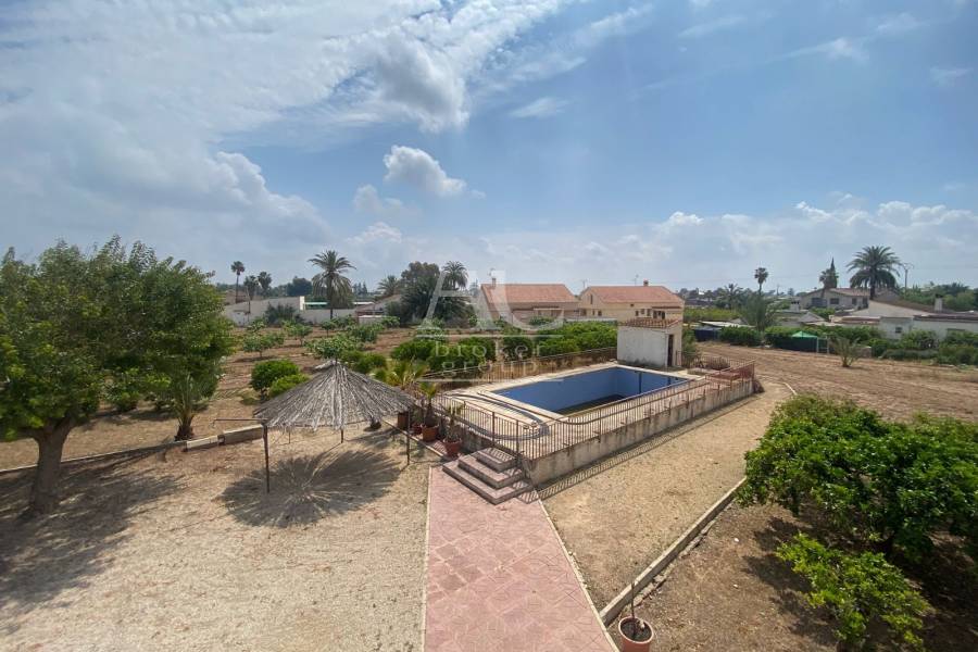 Venta - Chalet / Casa de campo - Elche Pedanías - Matola
