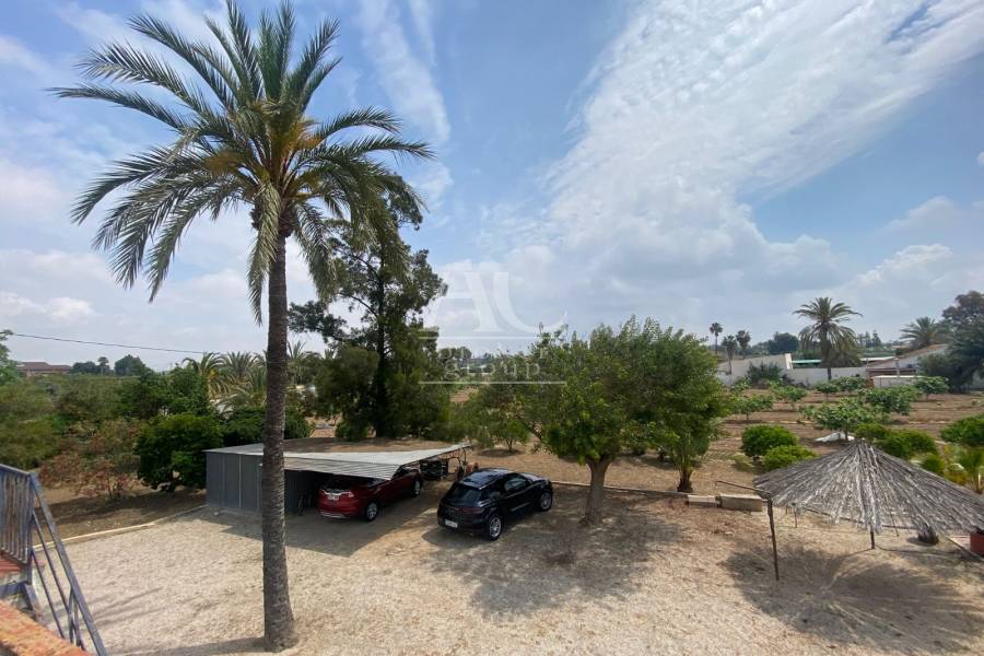Venta - Chalet / Casa de campo - Elche Pedanías - Matola
