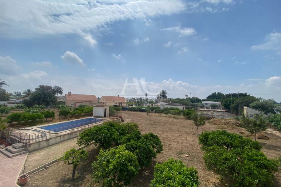 Venta - Chalet / Casa de campo - Elche Pedanías - Matola