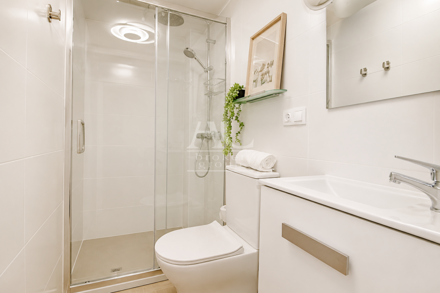 Alquiler - Habitación - Elche - Centro