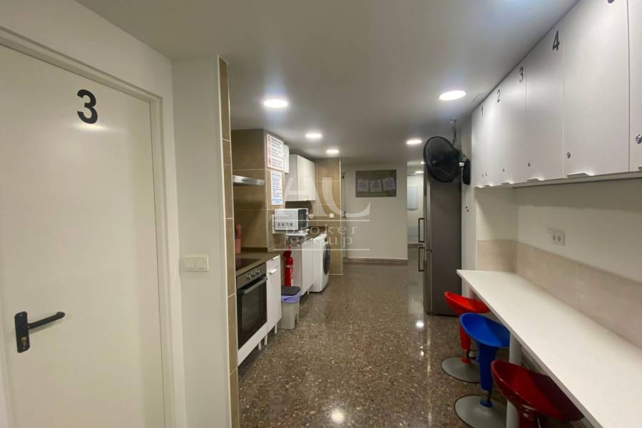 Alquiler - Habitación - Elche - Centro