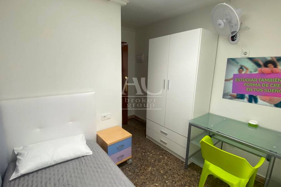 Alquiler - Habitación - Elche - Centro