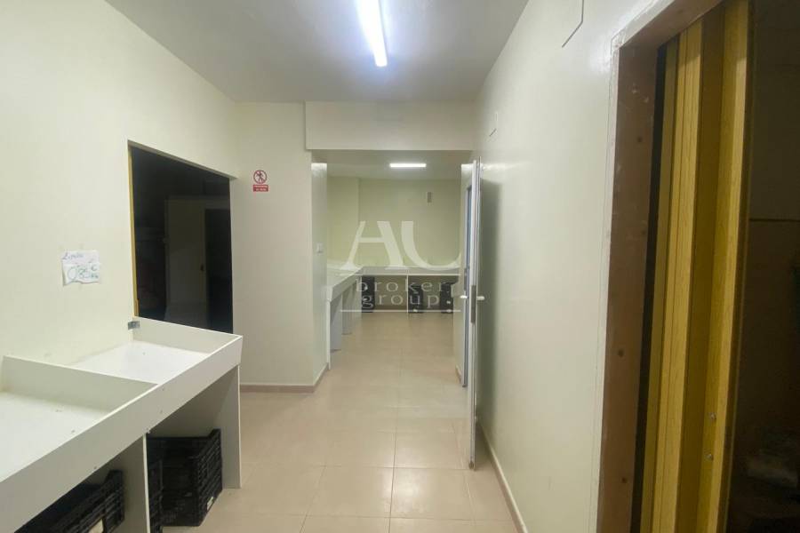 Alquiler - Habitación - Elche - Centro