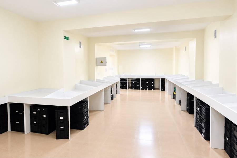 Venta - Local comercial - Elche - Camino de los Magros
