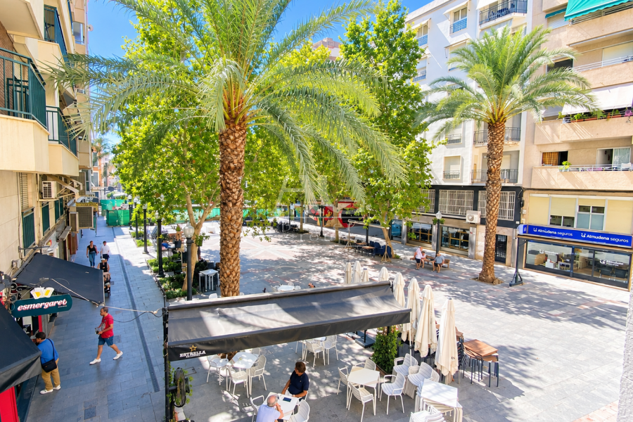 Alquiler - Habitación - Elche - Centro