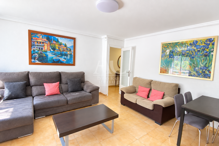 Alquiler - Habitación - Elche - Centro