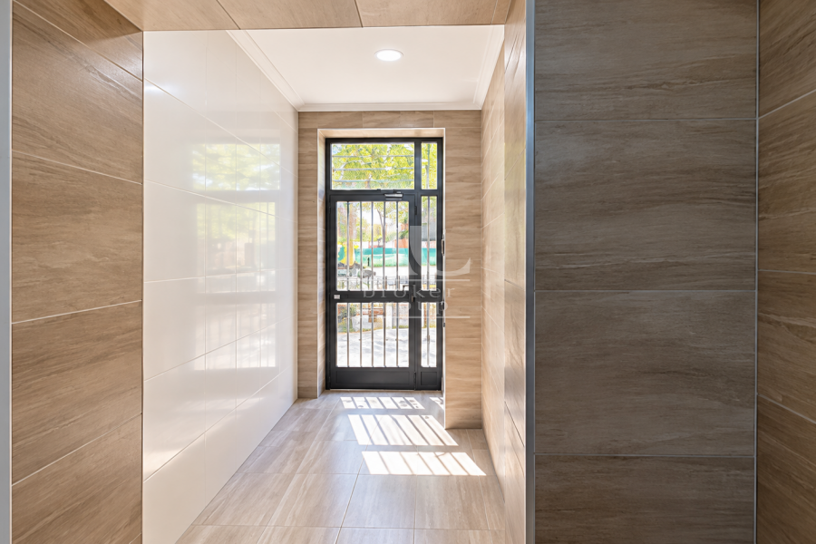 Alquiler - Habitación - Elche - Centro